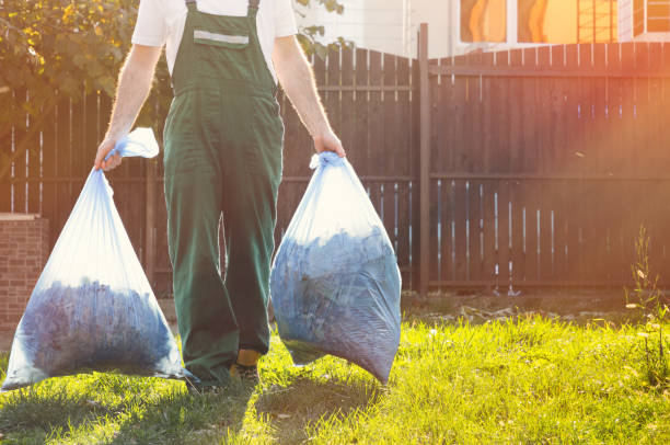 Best Property Management Cleanouts  in Pierz, MN